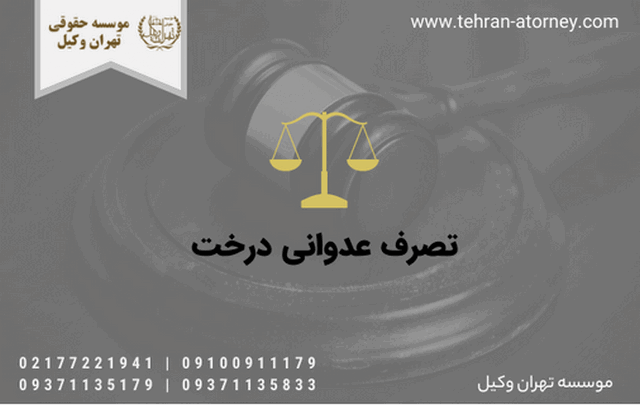 تصرف عدوانی درخت 1202 تصرف عدوانی درخت