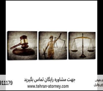 وکیل منابع طبیعی + تضمینی 390 وکیل منابع طبیعی + تضمینی |